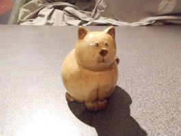 Katze hellbraun/dick