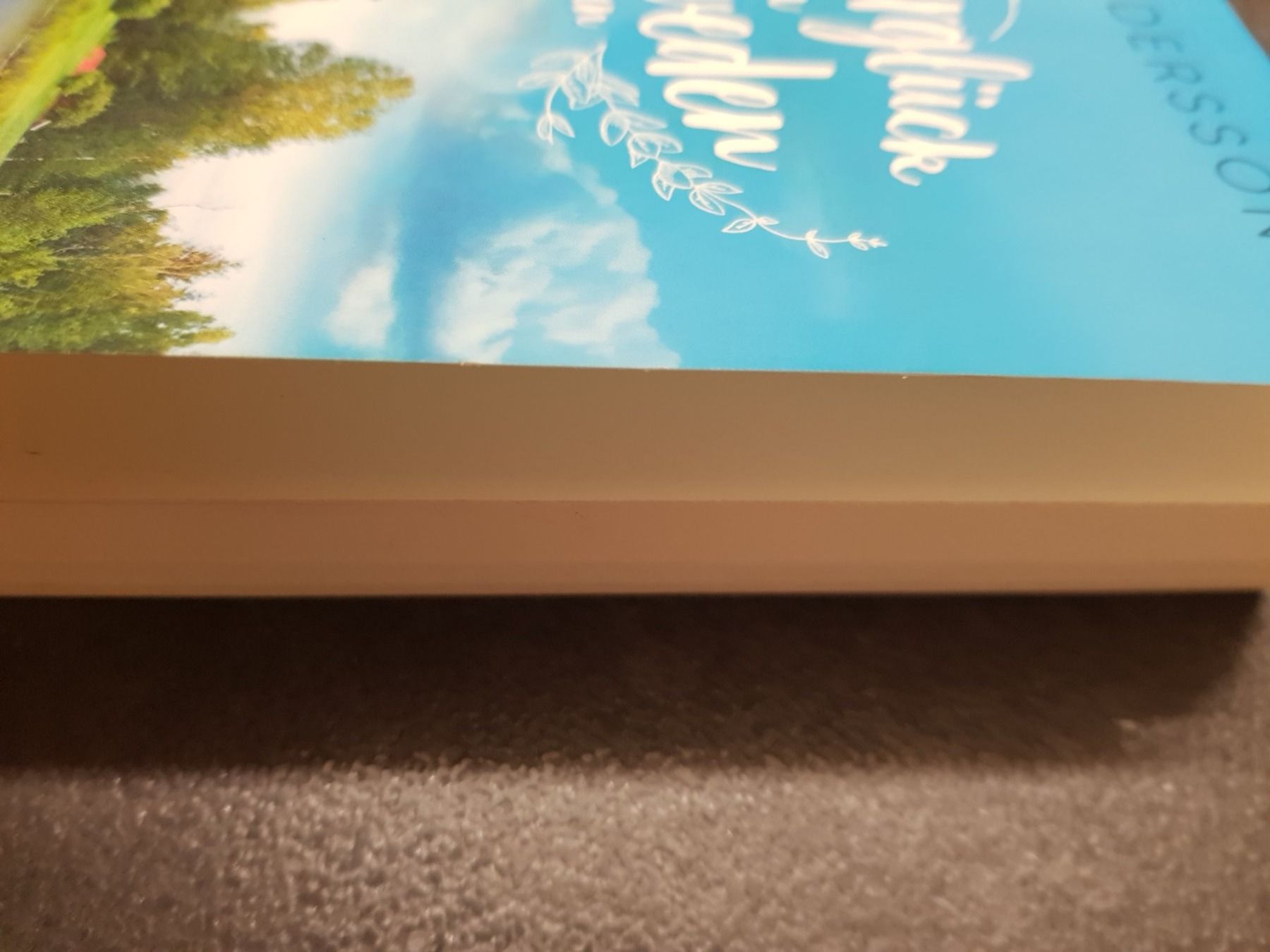 Libri: Sommerglück in Schweden / Lisa Andersson Roman – Usato da Dietikon venduto da marconi07 2