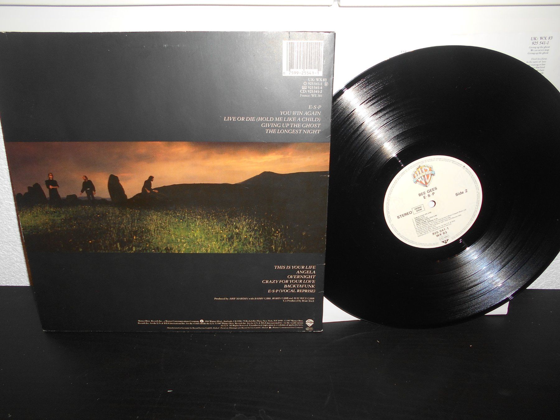 Dischi in vinile: Bee Gees – E·S·P / 1987 – Usato da Aarberg venduto da witchhunter01 1