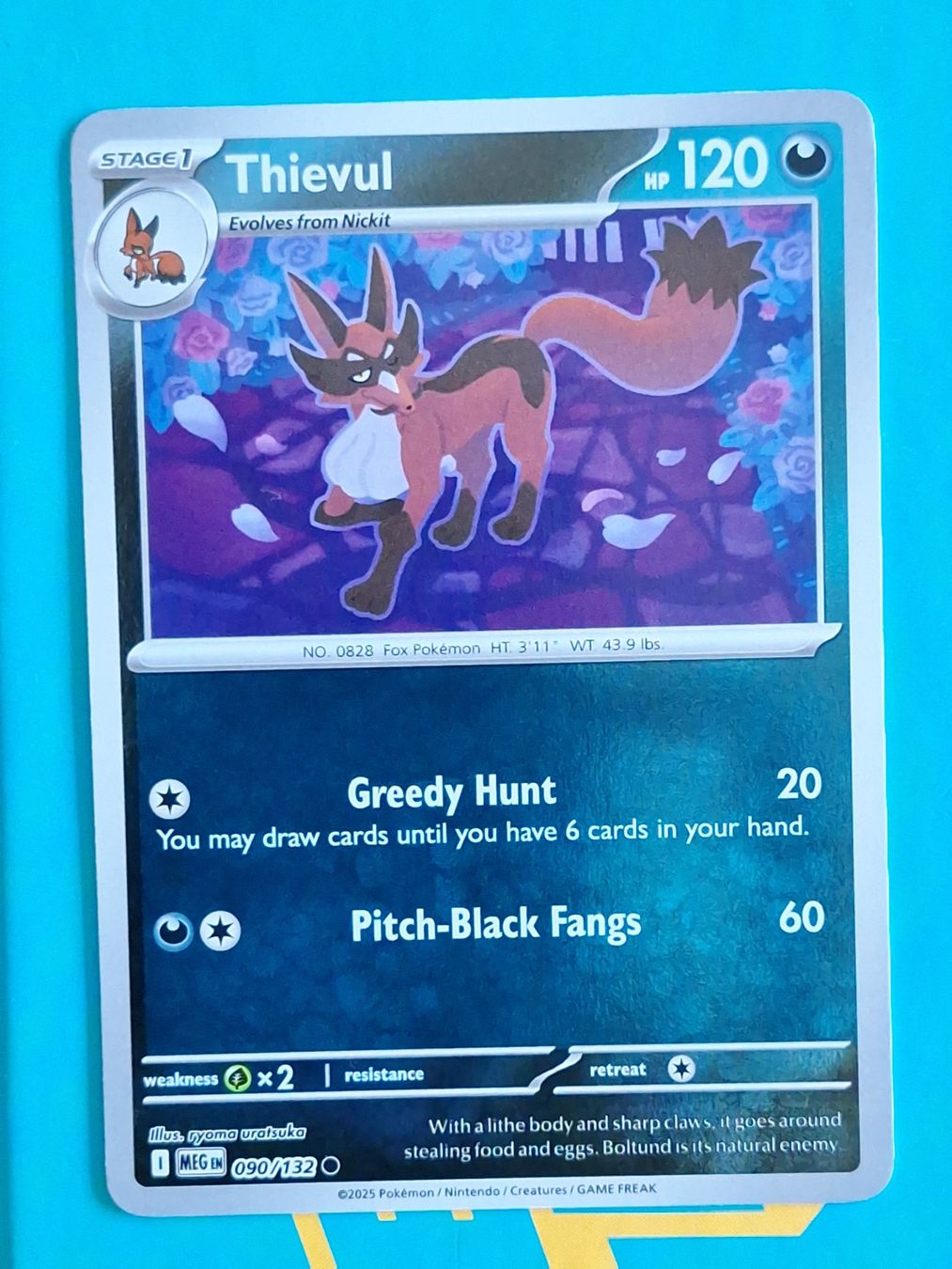 Pokémon Carte collezionabili: Thievul - Reverse Holo Pokemon Mega Evolution #1.8 – Usato da Altstätten SG venduto da GGsGameshop