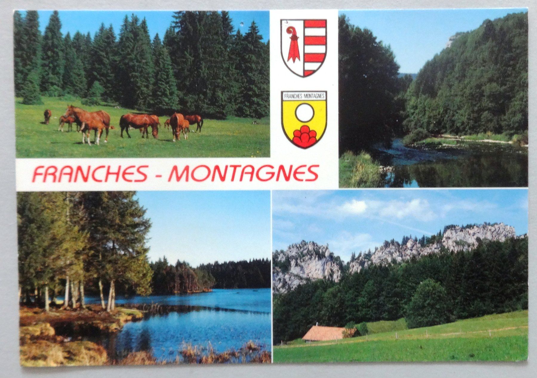 Cartoline postali: Franches-Montagnes – Difettoso da Fétigny venduto da Billy2miny
