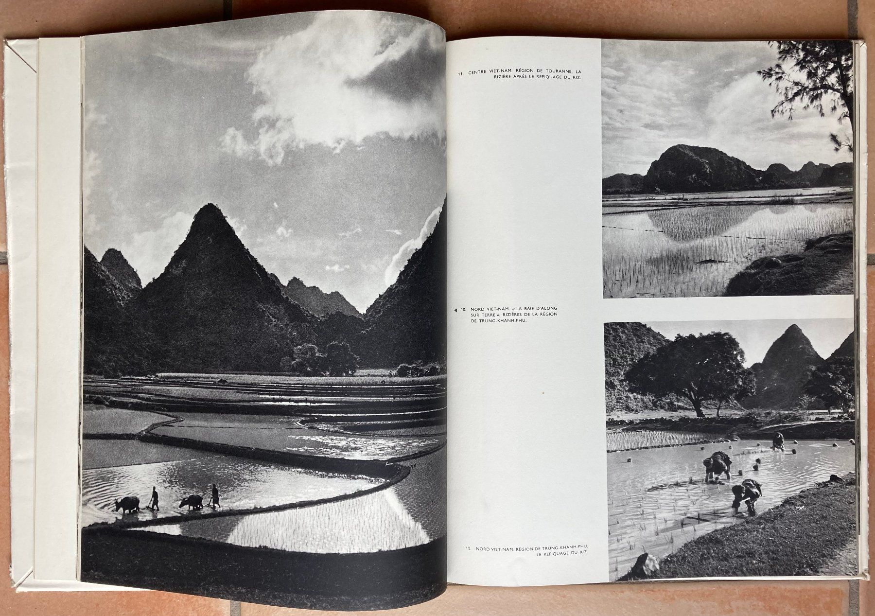 Libri: Viet Nam - 1951 – Usato da Versoix venduto da Decapod 5