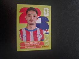 Panini WM 26 PAR 11