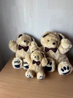 Ours en peluche