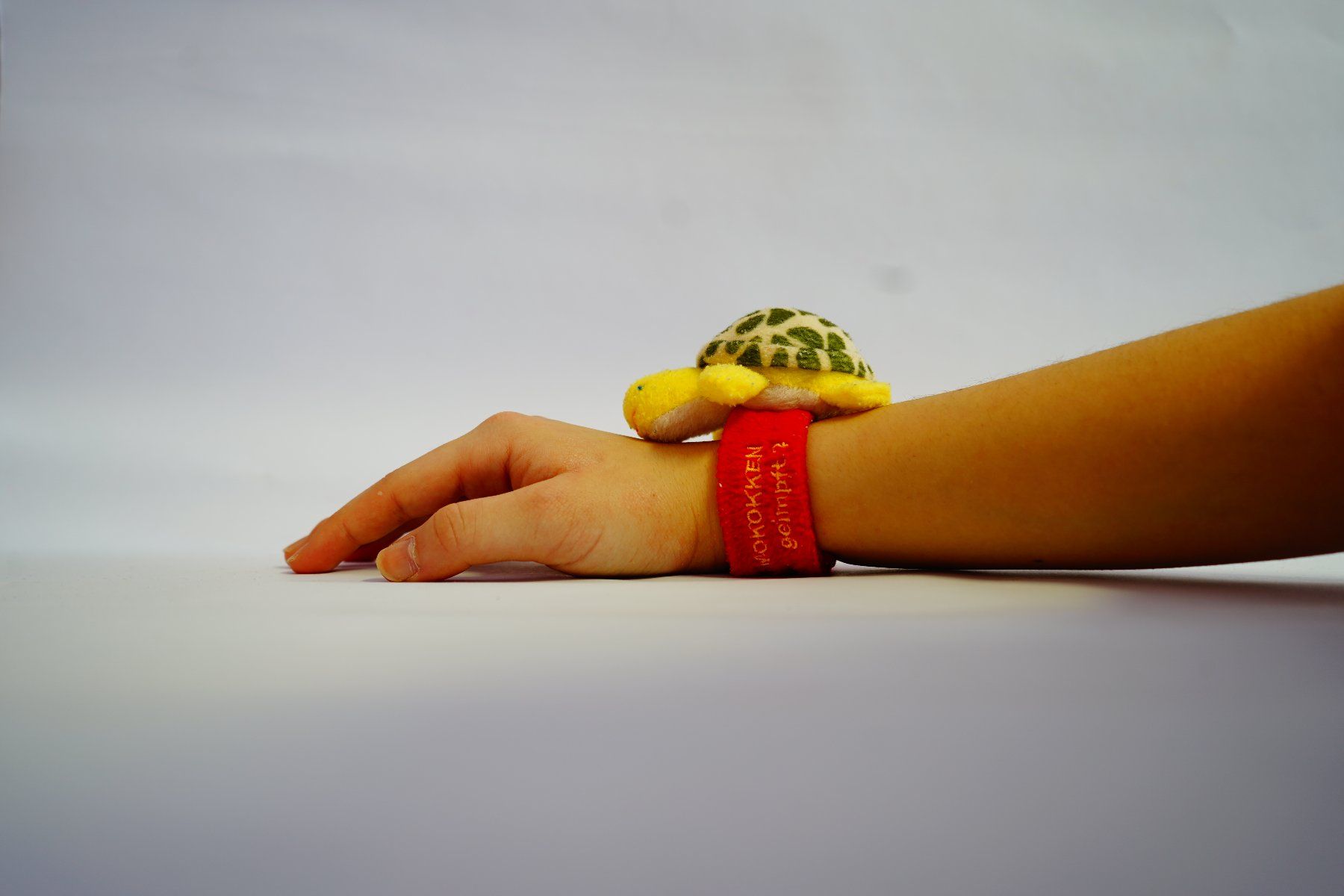 Giocattoli: Baby Rassel Schildkröte – Usato da Ebikon venduto da lin_jr8x 2