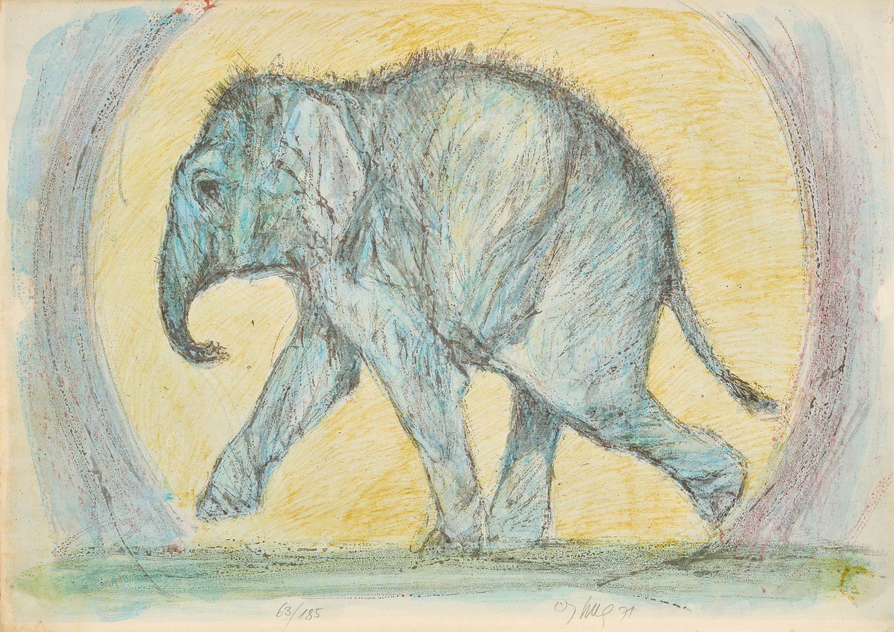 Grafiken & Lithographien: Hug Fritz "Junger Elefant" mit Bleistift handsigniert, num. – Gebraucht aus Siebnen von Kareno