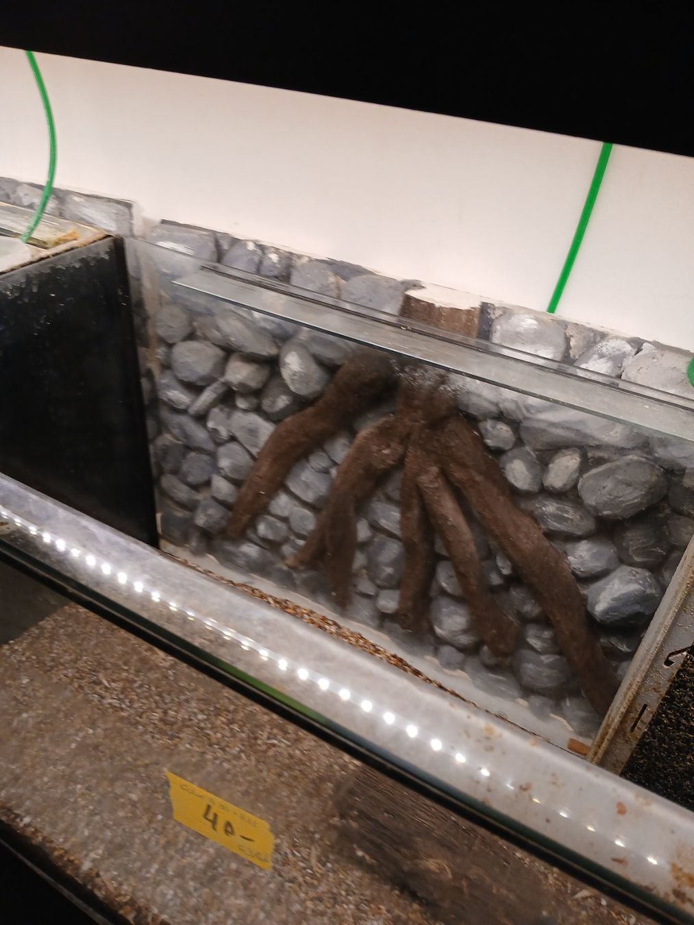 Acquari: 63l Aquarium – Usato da Kappelen venduto da lue_nrl2 1