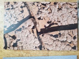 Design Natur Bild Foto Trockenrisse Lanzarote Heinz Könitzer