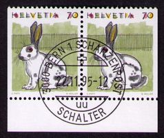 1995_791H3_Kaninchen__PAAR ERSTTAGS-VO mit Unterrand !