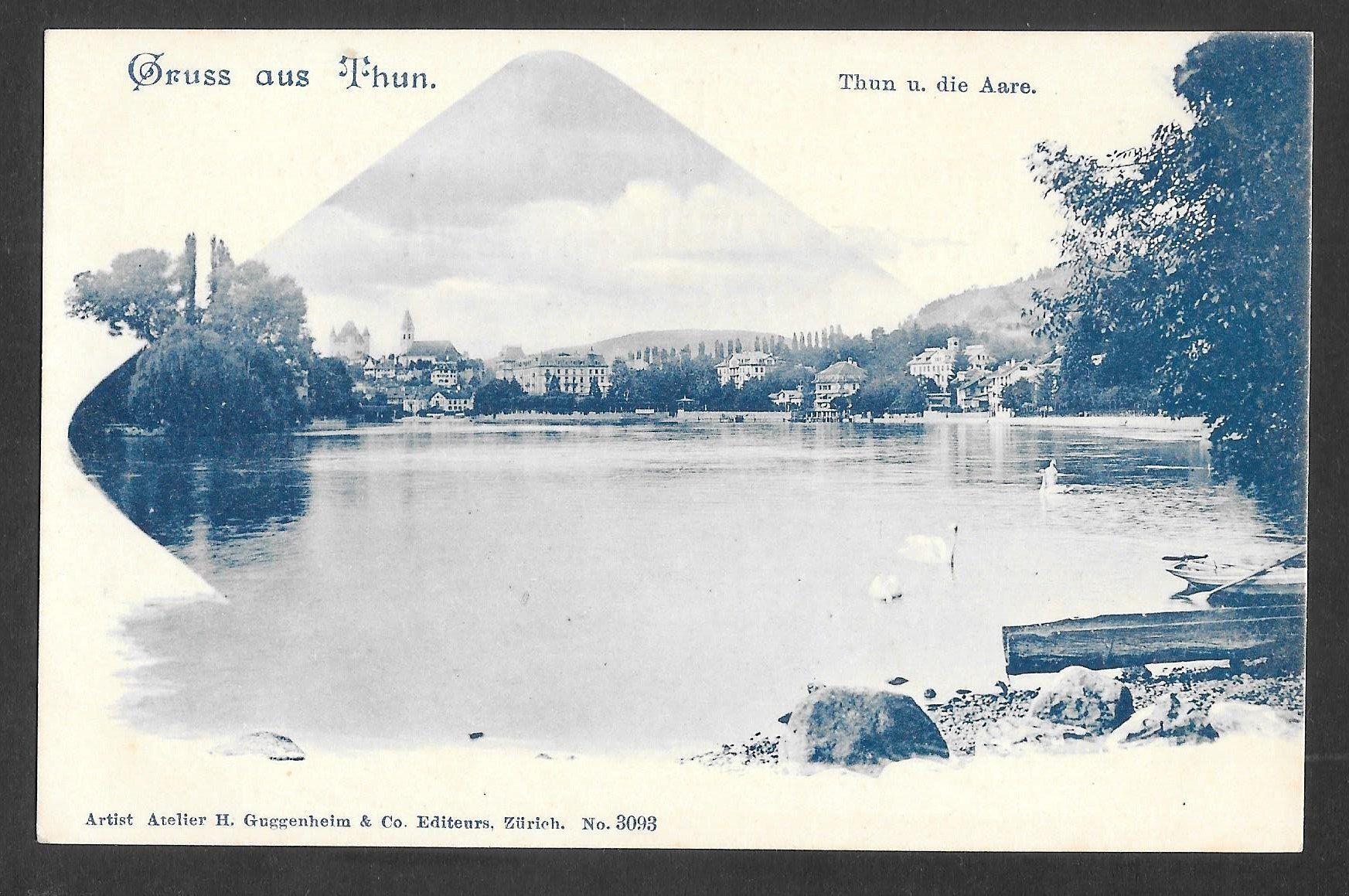 Cartoline postali: Thun Teilansicht mit der Aare – Usato da Olten venduto da clotaldi