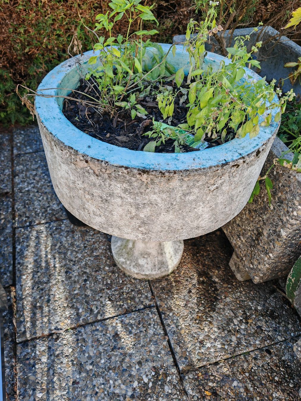 Vasi per fiori: Beton Blumen Trog – Usato da Menziken venduto da Hangover95