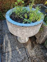 Beton Blumen Trog