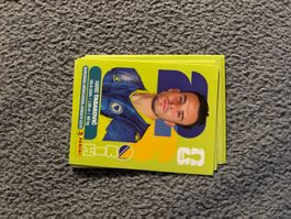 Panini Sticker BIH 20, Bosnien WM 2026