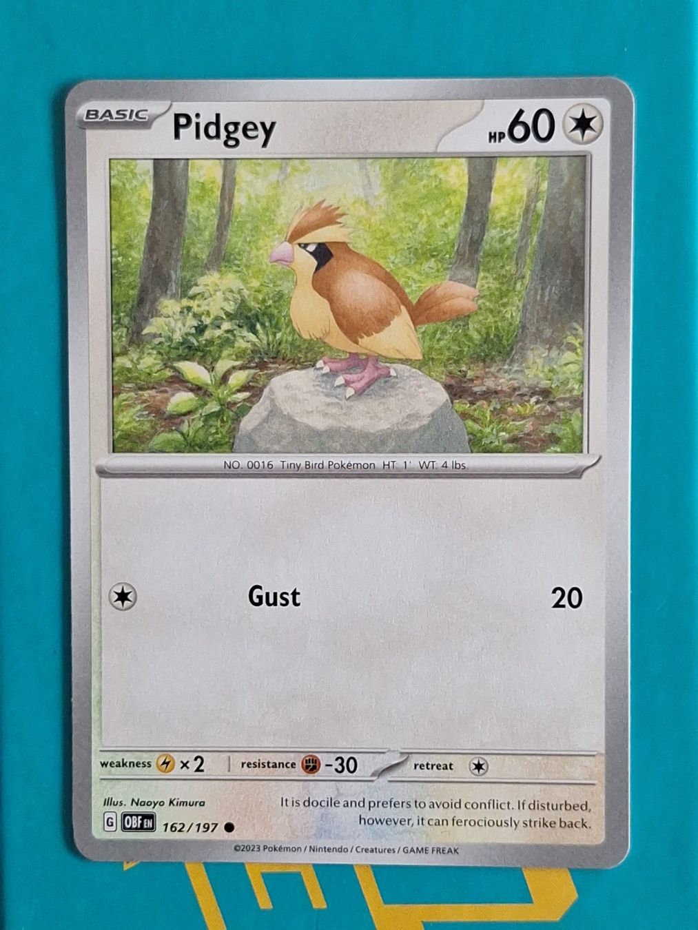 Pokémon Carte collezionabili: Pidgey Taubsi - Pokemon Obsidian Flames – Usato da Altstätten SG venduto da GGsGameshop