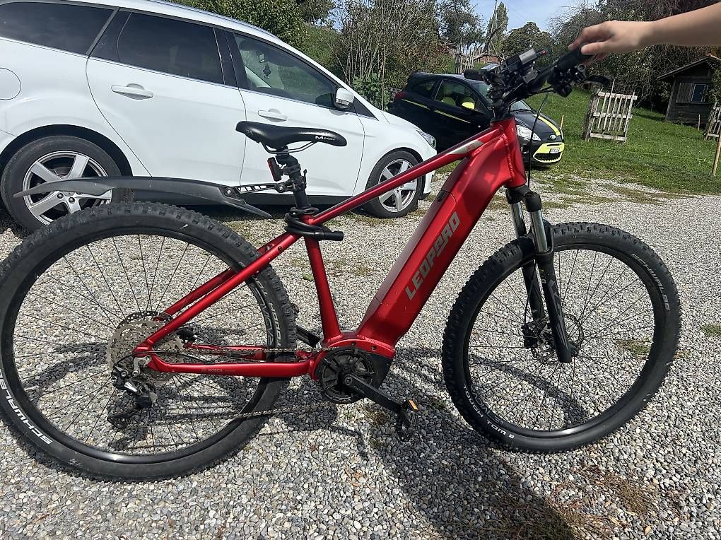 Wheeler Biciclette: Zwei E-Bike – Usato da Raperswilen venduto da pum_w8wc