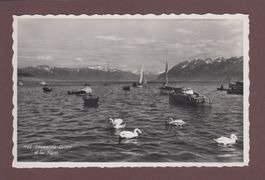 LAUSANNE - Ouchy - Vue sur le lac Léman