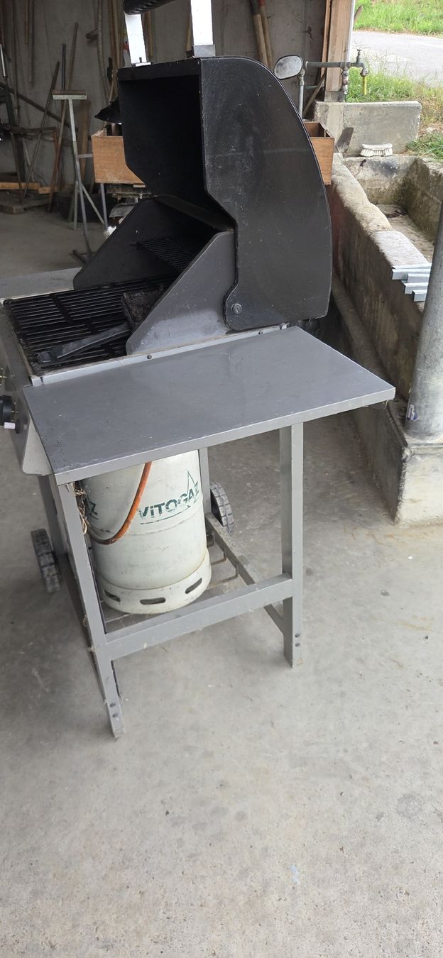 Griglie: GasGrill Spacy 2 – Usato da Aesch LU venduto da hooz
