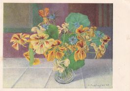 Bouquet de fleurs Hermann Muntwyler 47 Kapuziner   1949