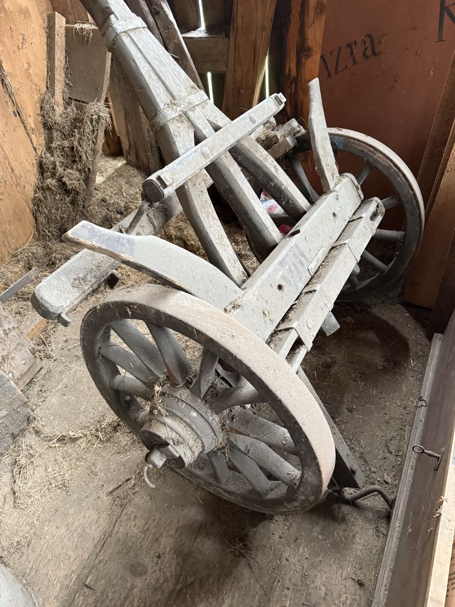 Articoli in legno: Holz-Leiterwagen – Usato da Savognin venduto da Tgeli 1
