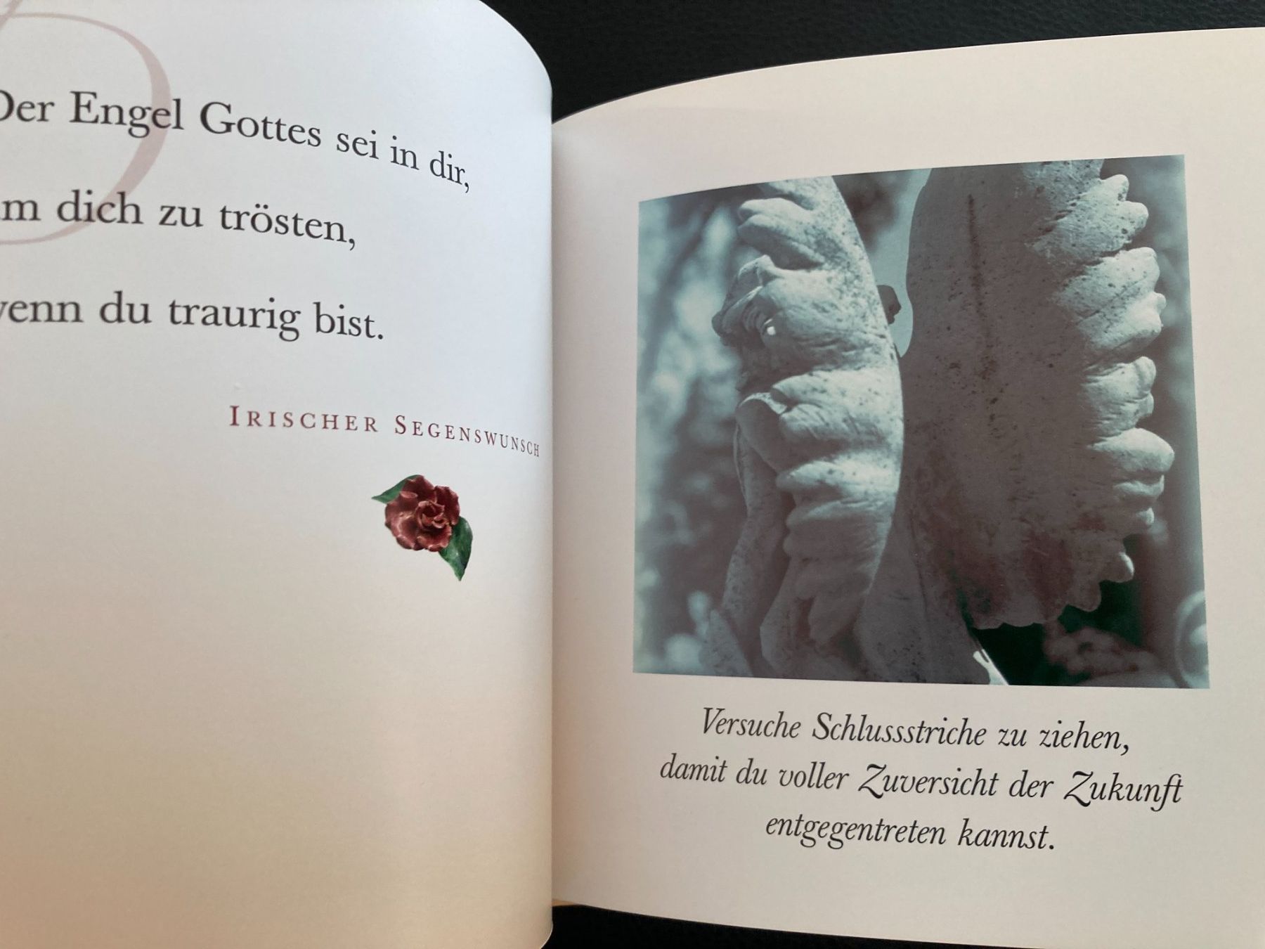 Libri: Engelsbotschaften des  Schutzes   gebundenes Buch – Usato da Subingen venduto da Etageren 4