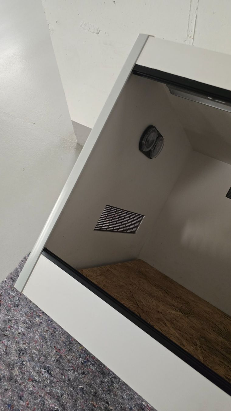 Terrario: Trocken Terrarium "Kunststoff" – Usato da Rafz venduto da Domimir 3