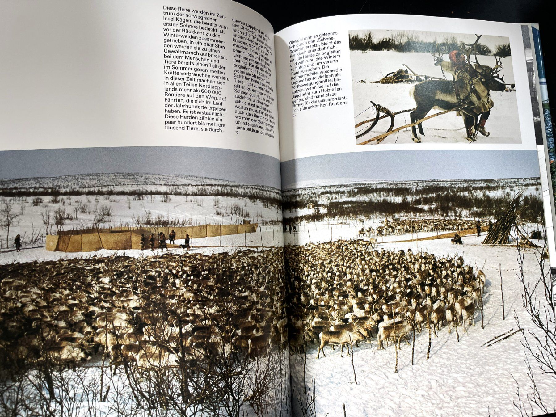 Libri: Silva Verlag, Lappland, 1977 – Usato da Oftringen venduto da Vucki 4