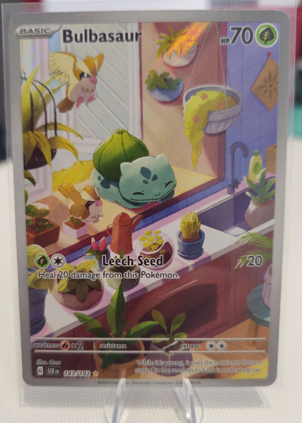 Pokémon Carte collezionabili: Bulbasaur 143/142 – Nuovo (secondo la descrizione) da Cadenazzo venduto da spa_z96b
