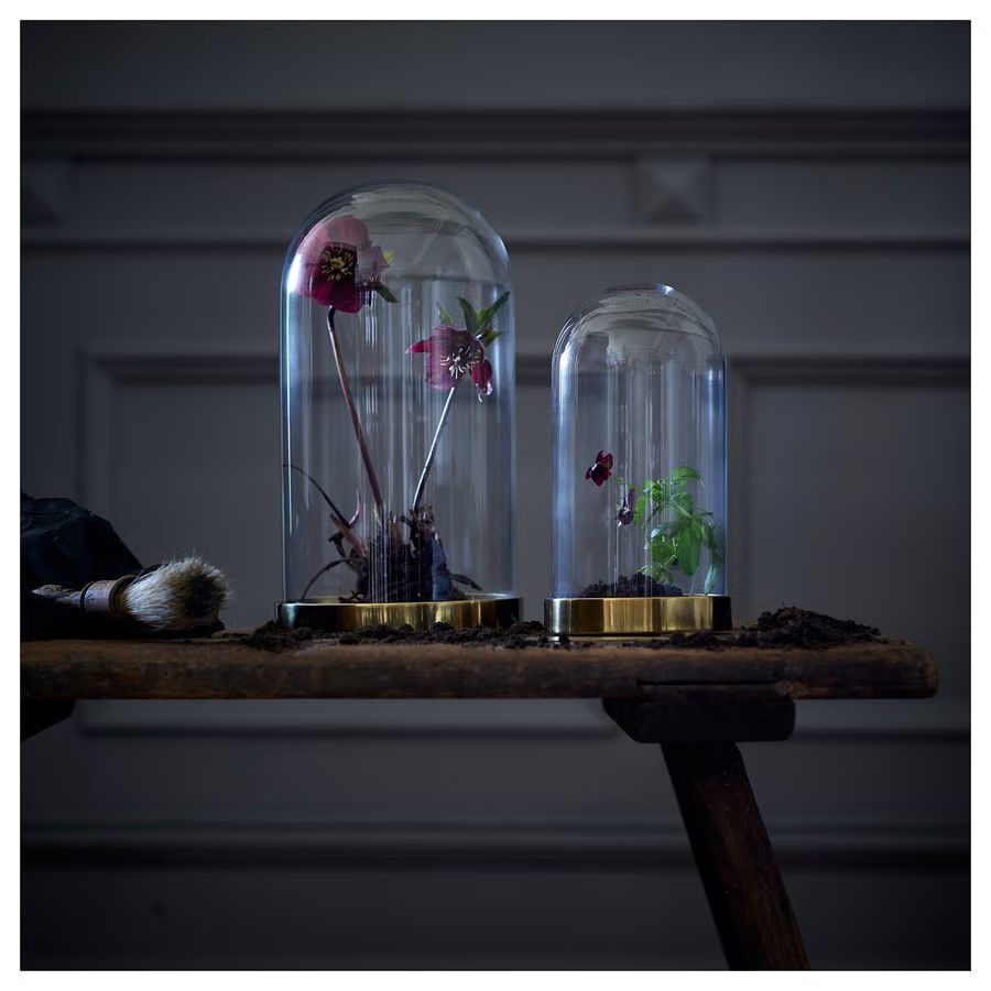 Ikea Tutte le decorazioni: BEGÅVNING Glasglocke mit Teller, Ikea – Usato da Zollikon venduto da Ranunkulus 2