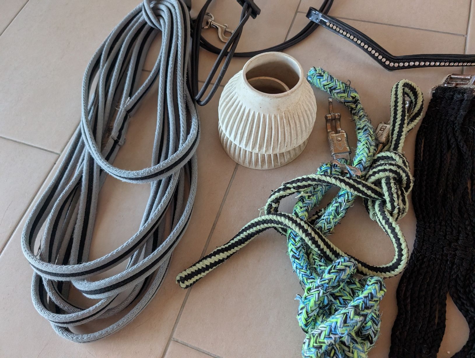 Zaumzeug & Halfter: Pferde Set - alles in einem Paket Longe, Halfter  – Gebraucht aus Glattbrugg von Rose198 5