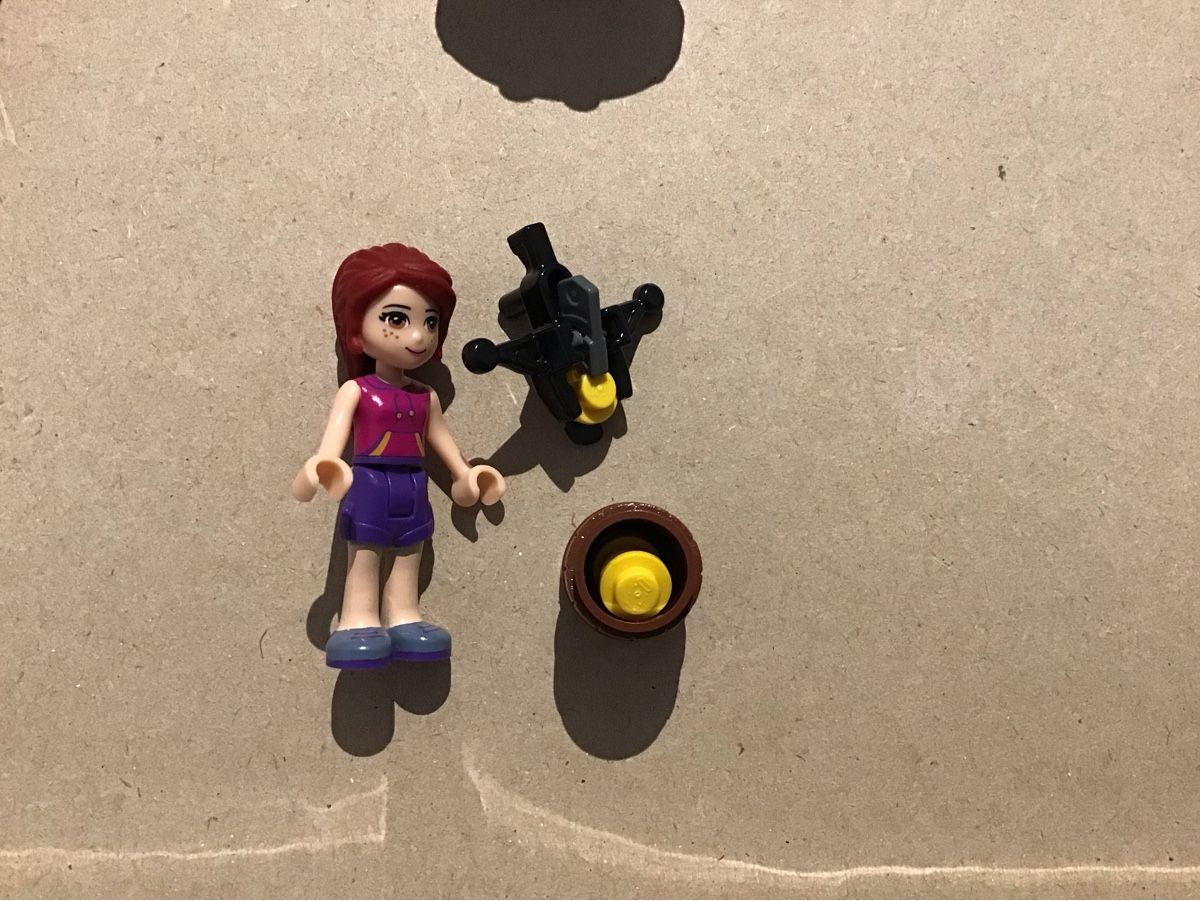 Lego Giocattoli: Lego Friends – Usato da Lyss venduto da frostis 5