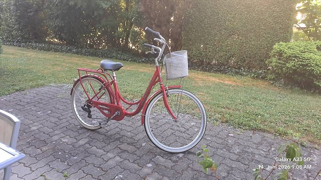 Biciclette: Damen City Bike – Usato da Schwerzenbach venduto da July7 3