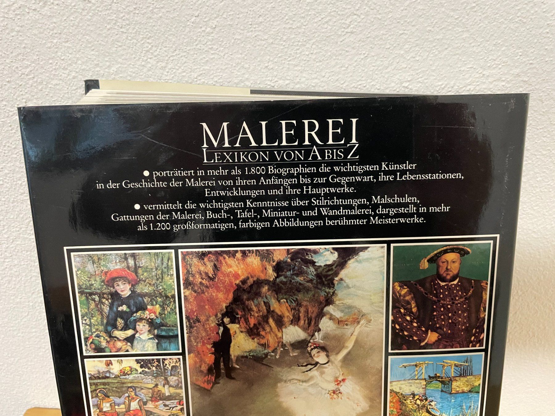 Libri: Malerei Lexikon von A-Z - Kunstgeschichte Buch – Usato da Zürich venduto da TTLM 1