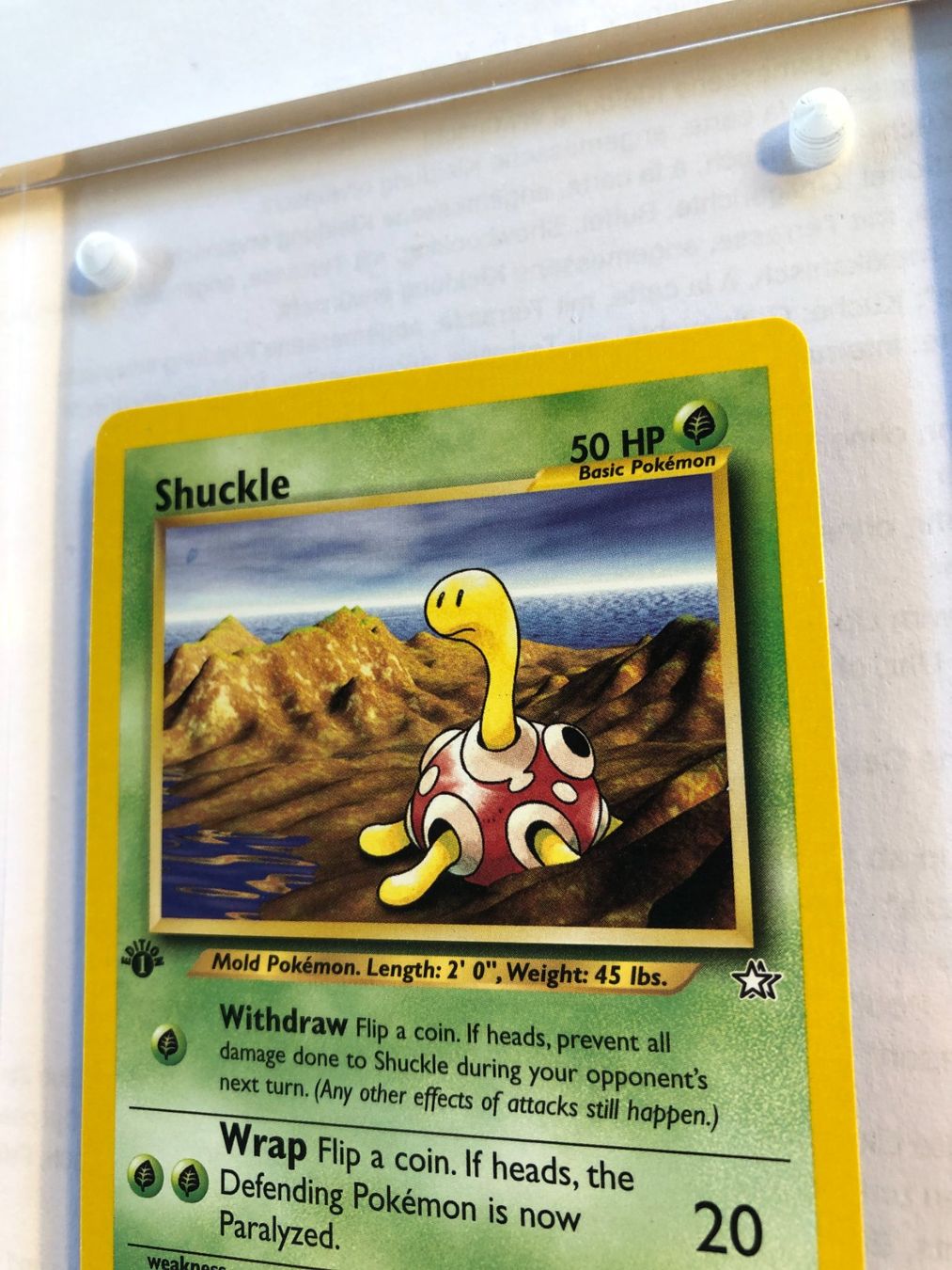 Sammelbilder & Trading cards: Shuckle 1st Neo Genesis - MINT - ab 1.- – Gebraucht aus Giubiasco von dan_pr8b 3