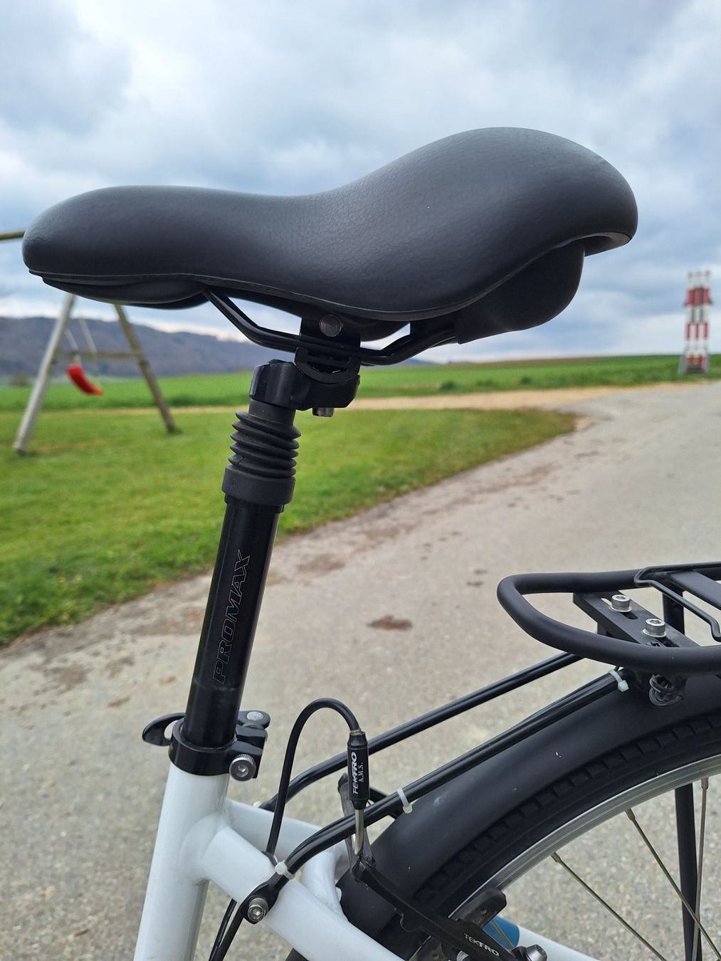 Leopard Velos: City E-Bike LEOPARD – Gebraucht aus Messen von Pfoesi 6