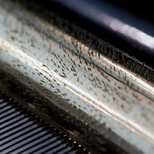 Profile image of swissmusicmachine