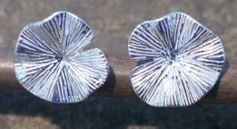 Ohrstecker in Silber 925