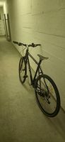 Focus Mountainbike