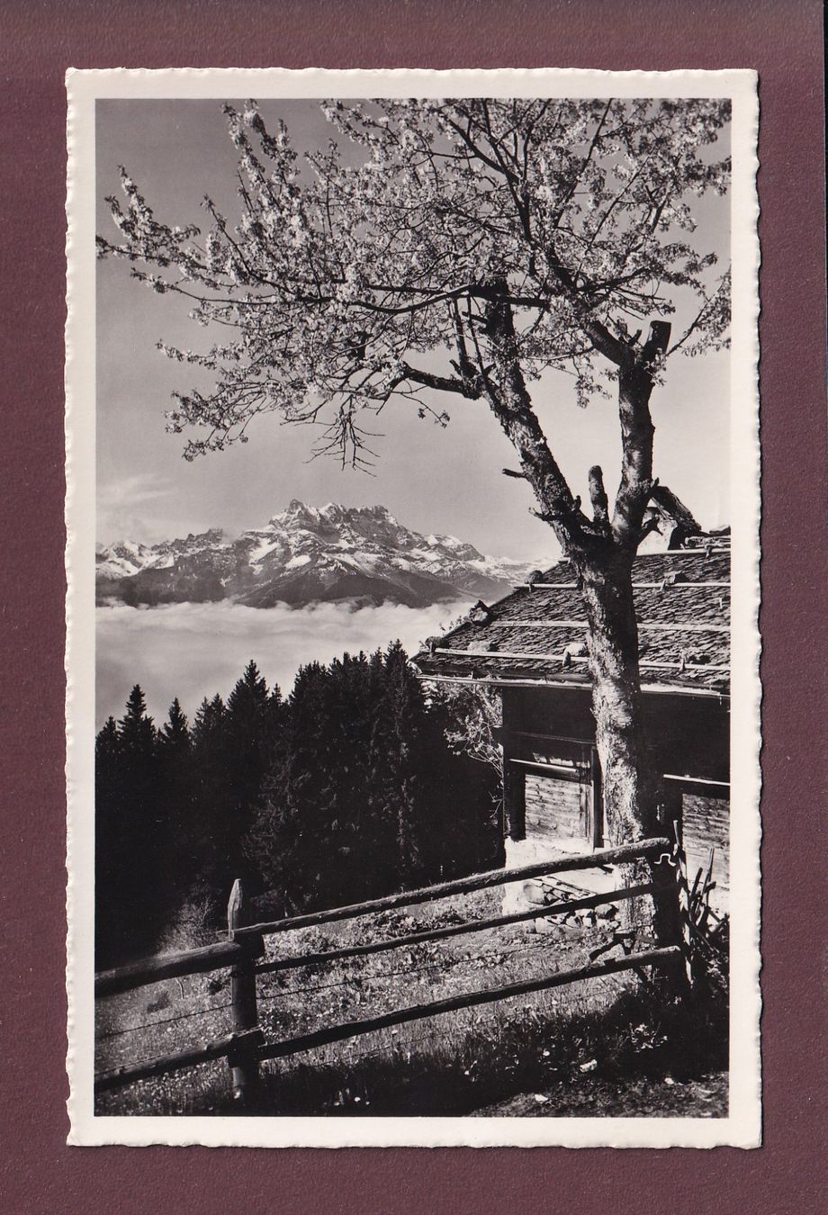 Cartoline postali: LEYSIN - Dents du Midi - 1960 – Usato da Pully venduto da nicecards