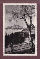 LEYSIN - Dents du Midi - 1960