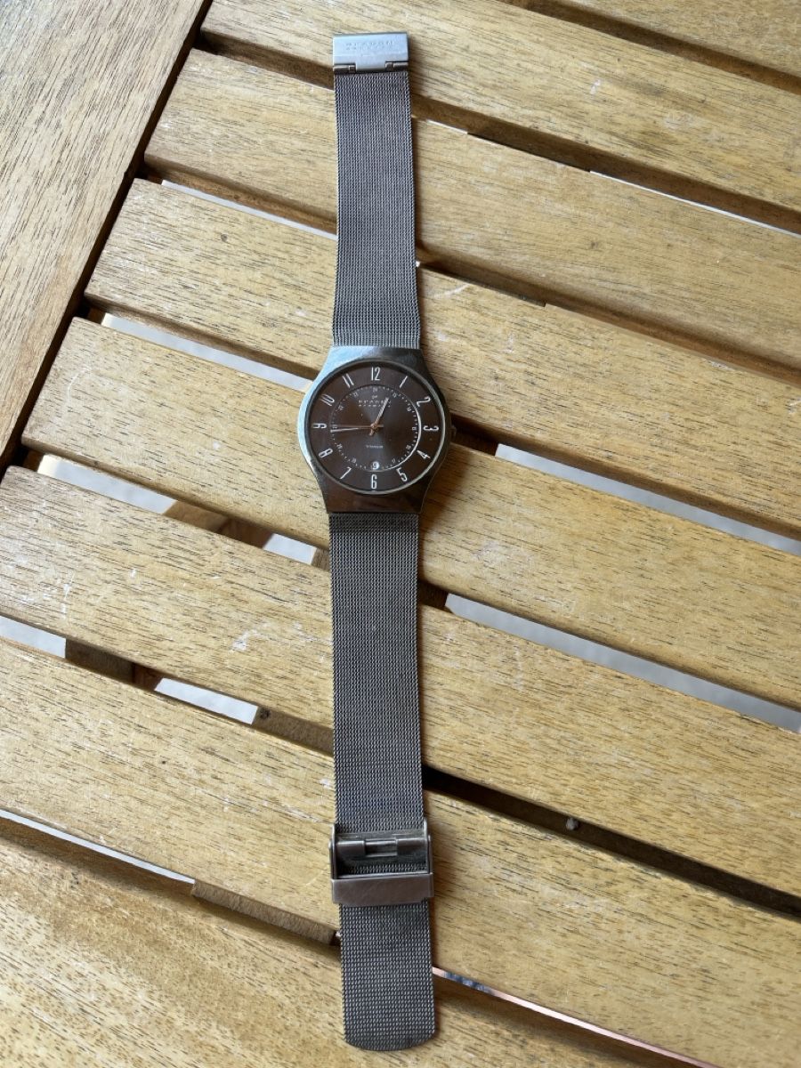 Skagen Bracciali & Braccialetti: Armbanduhr Skagen – Usato da Ursenbach venduto da frohes_fest 1