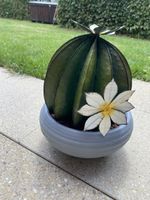 Dekorativer Kaktus aus Metall mit Blüte, Top Zustand!
