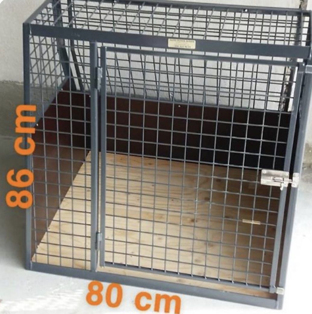 Gabbie, trasporto & Sicurezza: Hundebox – Usato da Bülach venduto da JAYA379