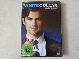 White Collar  -  Staffel 1  /  Fabrikneu