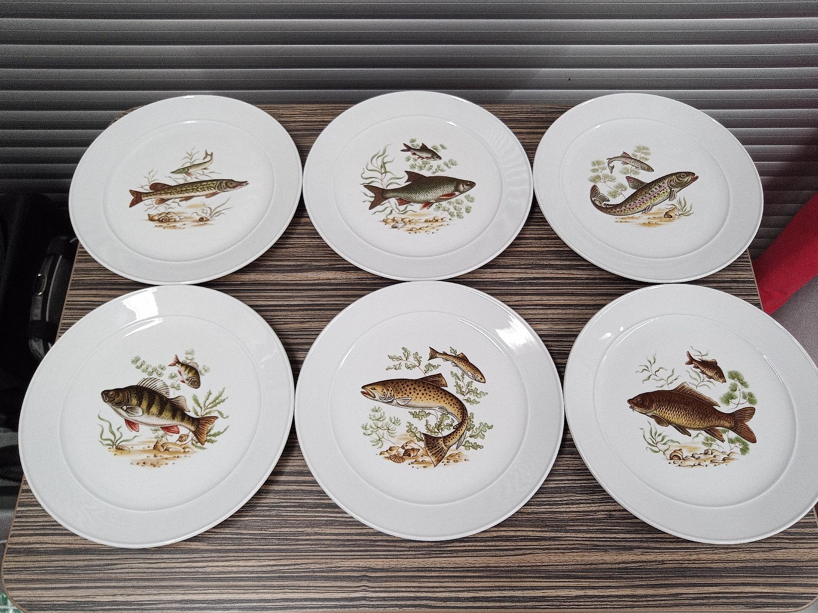 Piatti: 6 Fischteller Langenthal – Usato da Reiden venduto da Zofi-Brocki