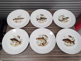 6 Fischteller Langenthal