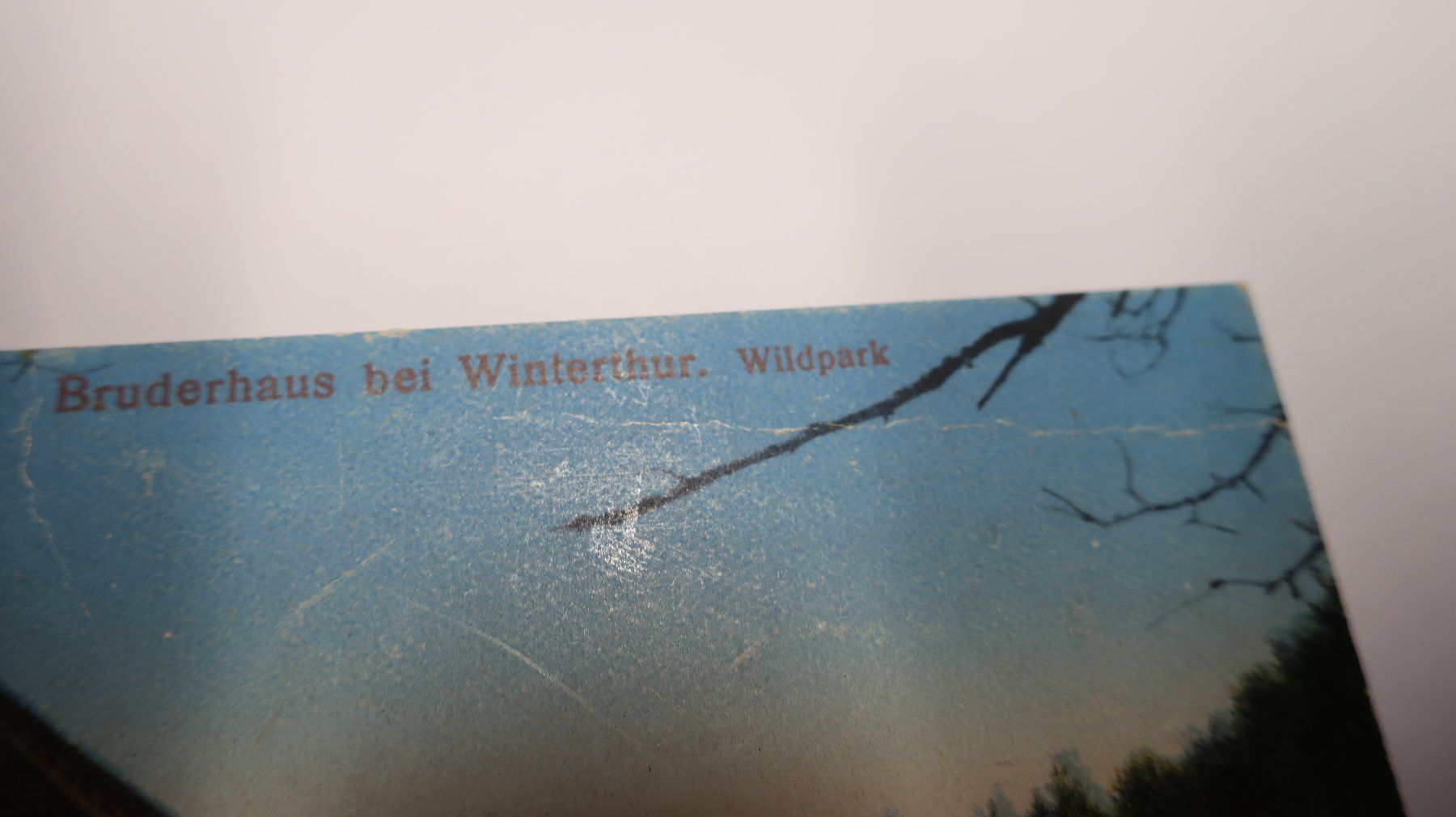 Cartoline postali: Bruderhaus bei Winterthur Wildpark – Usato da Cormoret venduto da Pascalll2001 3