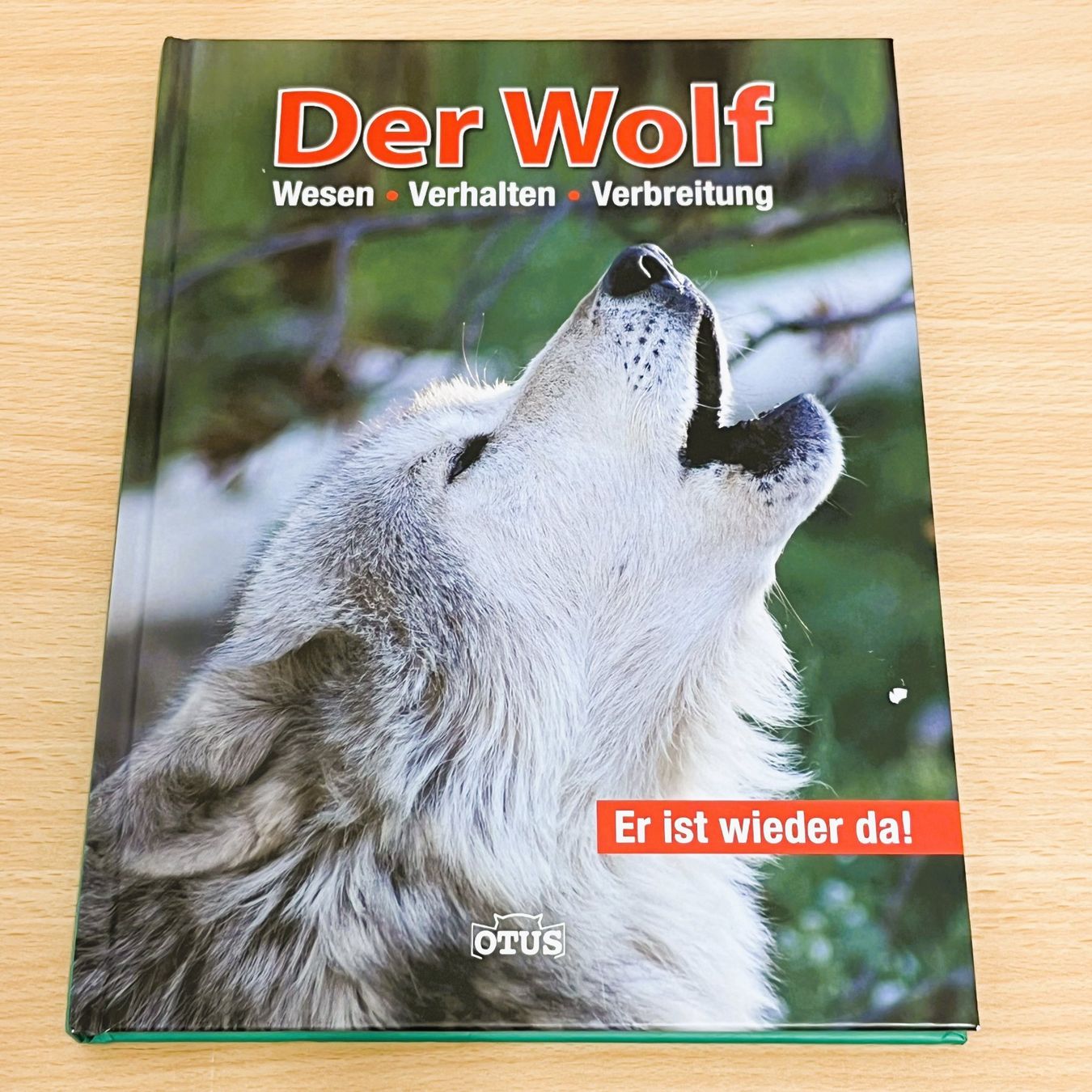 Libri: Der Wolf - Wesen, Verhalten, Verbreitung – Usato da Amlikon-Bissegg venduto da allerlei-versand