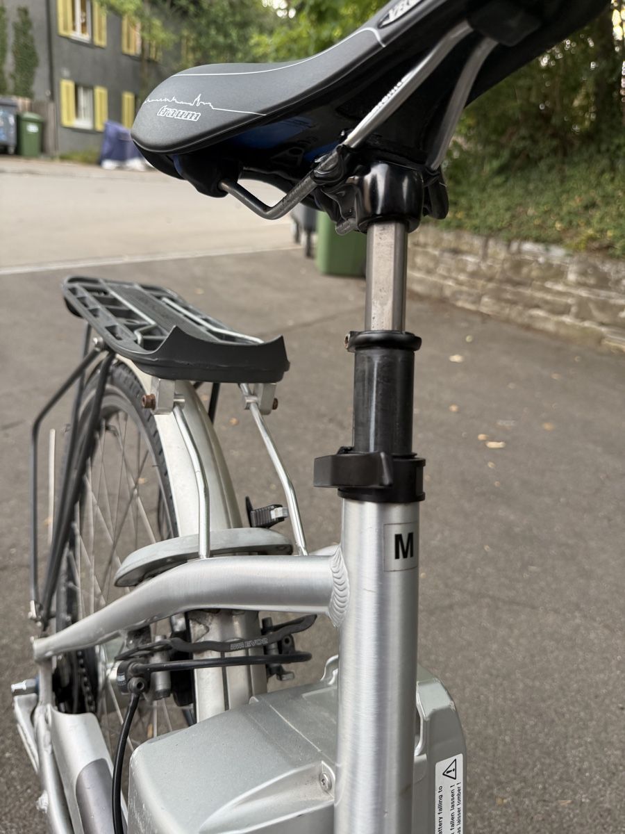Flyer Biciclette: Flyer E-bike 399Watt Halt noch gut – Usato da Zürich venduto da Ismail-GG 7