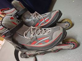 Inline Skates