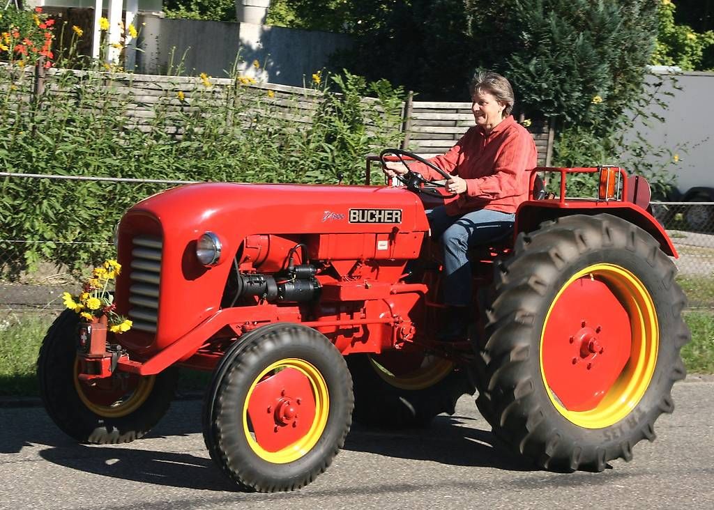 Trattori: Traktor Oldtimer Bucher D1800 mit neuer MFK – Usato da Birr venduto da kaffeeleuchten 1